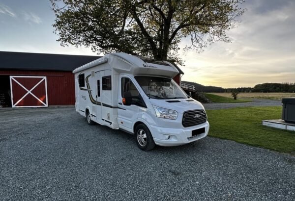 BENIMA TESSORO 494