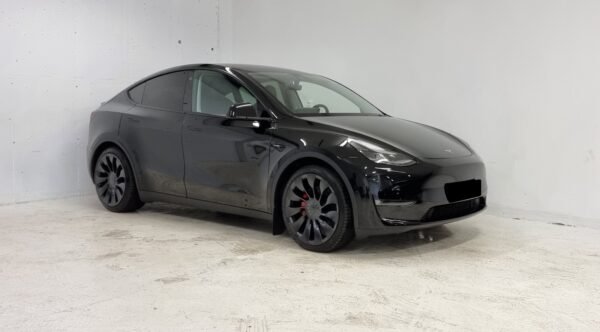 TESLA MODEL Y PERFORMANCE
